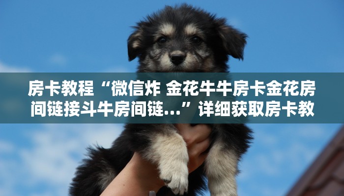 房卡教程“微信炸 金花牛牛房卡金花房间链接斗牛房间链…”详细获取房卡教程 房卡教程“微信炸 金花牛牛房卡金花房间链接斗牛房间链…”详细获取房卡教程