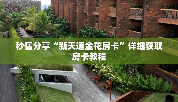 秒懂分享“新天道金花房卡”详细获取房卡教程