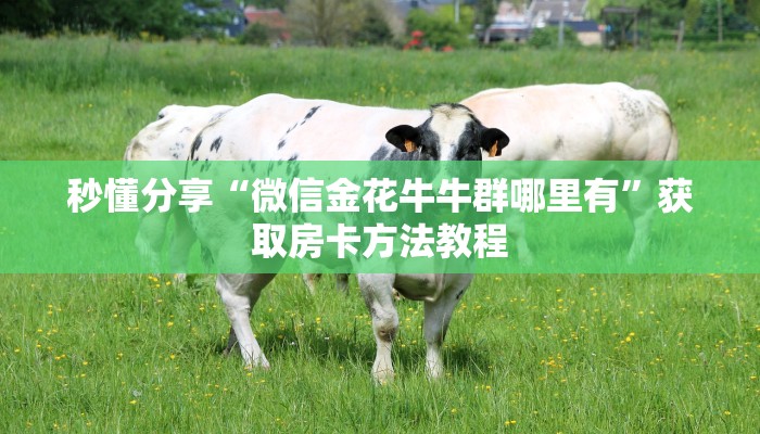 秒懂分享“微信金花牛牛群哪里有”获取房卡方法教程 秒懂分享“微信金花牛牛群哪里有”获取房卡方法教程
